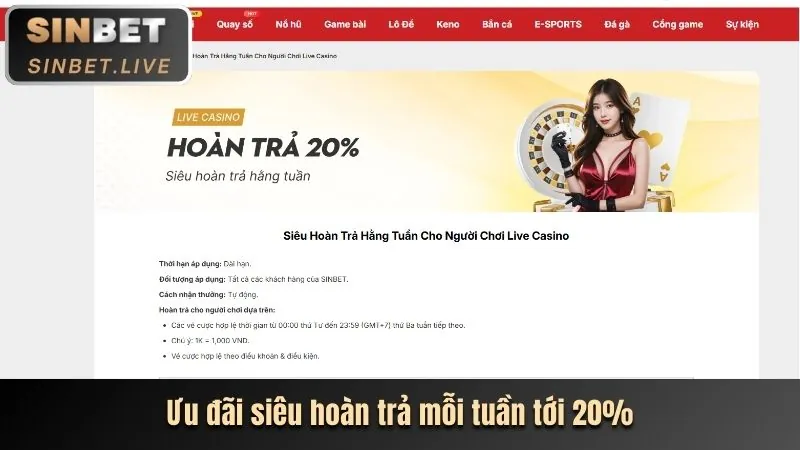 Chương trình VIP và ưu đãi độc quyền C88